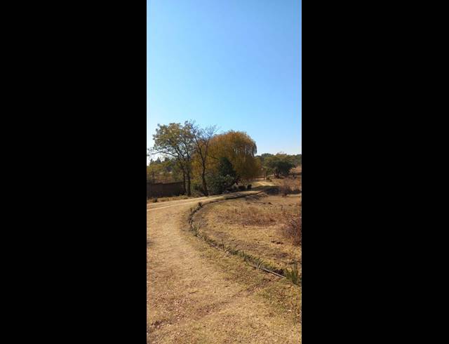 FARM FOR SALE IN LAMMERMOOR